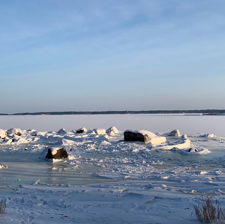 Viikko 2 / 2021